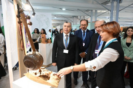 COP29 çərçivəsində DOST İnklüziv İnkişaf və Yaradıcılıq Mərkəzinin təqdim etdiyi sərgiyə baxış keçirilib